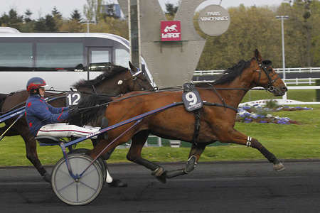 Actualités Hippiques